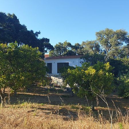 Quinta De Sao Pedro Villa Sobreda Exterior foto